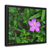 Rainforest Trails & Views - Gallery Canvas Wraps, Horizontal Frame - El Yunque National Forest - Puerto Rico - The beauty of a simple flower after the rain - Green Forest Home