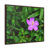 Rainforest Trails & Views - Gallery Canvas Wraps, Horizontal Frame - El Yunque National Forest - Puerto Rico - The beauty of a simple flower after the rain - Green Forest Home