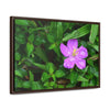 Rainforest Trails & Views - Gallery Canvas Wraps, Horizontal Frame - El Yunque National Forest - Puerto Rico - The beauty of a simple flower after the rain - Green Forest Home