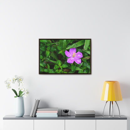 Rainforest Trails & Views - Gallery Canvas Wraps, Horizontal Frame - El Yunque National Forest - Puerto Rico - The beauty of a simple flower after the rain - Green Forest Home