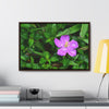 Rainforest Trails & Views - Gallery Canvas Wraps, Horizontal Frame - El Yunque National Forest - Puerto Rico - The beauty of a simple flower after the rain - Green Forest Home