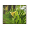 Rainforest Trails & Views - Gallery Canvas Wraps, Horizontal Frame - El Yunque National Forest - Puerto Rico - The beauty of a tree sprout in Tradewinds trail - Green Forest Home