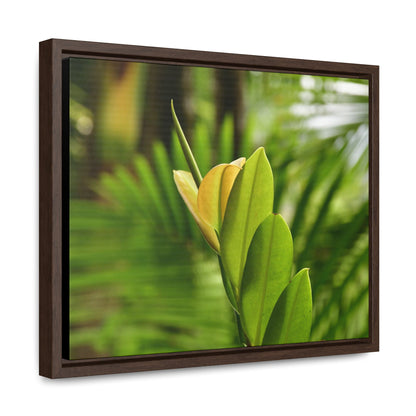 Rainforest Trails & Views - Gallery Canvas Wraps, Horizontal Frame - El Yunque National Forest - Puerto Rico - The beauty of a tree sprout in Tradewinds trail - Green Forest Home