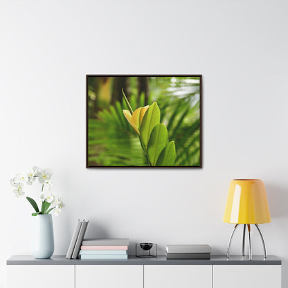 Rainforest Trails & Views - Gallery Canvas Wraps, Horizontal Frame - El Yunque National Forest - Puerto Rico - The beauty of a tree sprout in Tradewinds trail - Green Forest Home