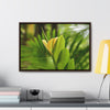 Rainforest Trails & Views - Gallery Canvas Wraps, Horizontal Frame - El Yunque National Forest - Puerto Rico - The beauty of a tree sprout in Tradewinds trail - Green Forest Home
