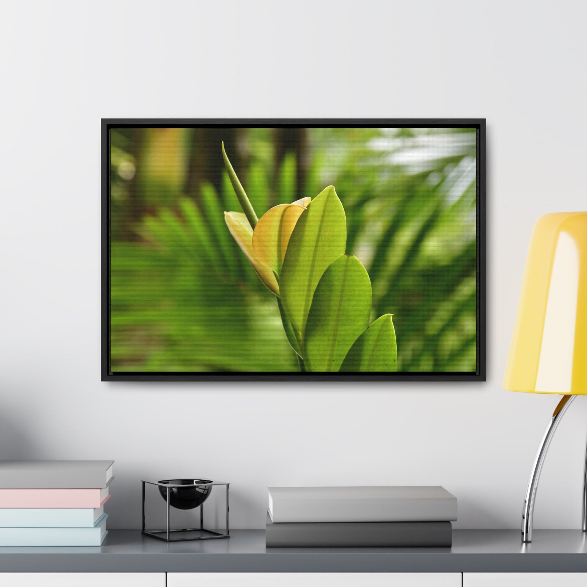 Rainforest Trails & Views - Gallery Canvas Wraps, Horizontal Frame - El Yunque National Forest - Puerto Rico - The beauty of a tree sprout in Tradewinds trail - Green Forest Home