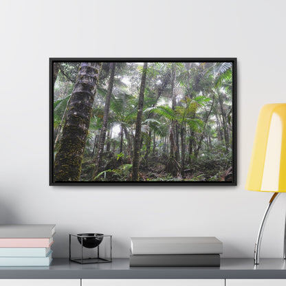 Rainforest Trails & Views - Gallery Canvas Wraps, Horizontal Frame - El Yunque National Forest - Puerto Rico - The dense Sierra Palm forest in the cloud forest of El Yunque peak - Green Forest Home