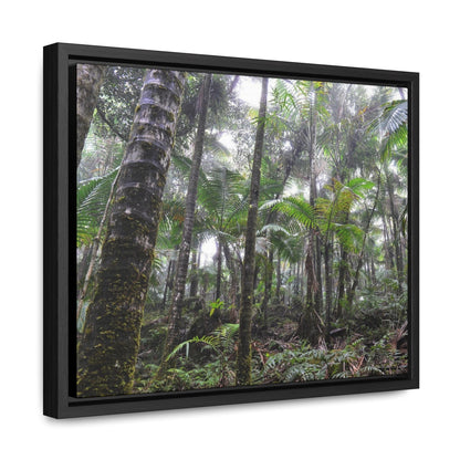 Rainforest Trails & Views - Gallery Canvas Wraps, Horizontal Frame - El Yunque National Forest - Puerto Rico - The dense Sierra Palm forest in the cloud forest of El Yunque peak - Green Forest Home