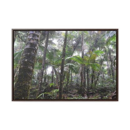 Rainforest Trails & Views - Gallery Canvas Wraps, Horizontal Frame - El Yunque National Forest - Puerto Rico - The dense Sierra Palm forest in the cloud forest of El Yunque peak - Green Forest Home