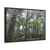 Rainforest Trails & Views - Gallery Canvas Wraps, Horizontal Frame - El Yunque National Forest - Puerto Rico - The dense Sierra Palm forest in the cloud forest of El Yunque peak - Green Forest Home