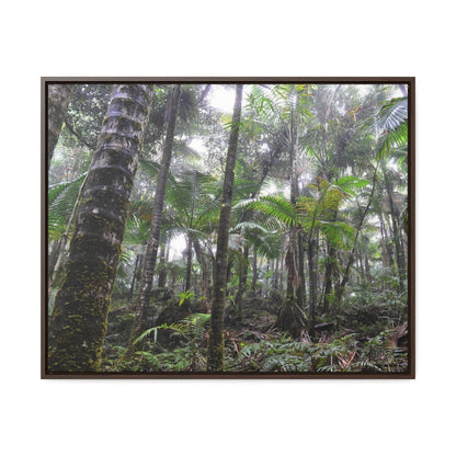 Rainforest Trails & Views - Gallery Canvas Wraps, Horizontal Frame - El Yunque National Forest - Puerto Rico - The dense Sierra Palm forest in the cloud forest of El Yunque peak - Green Forest Home