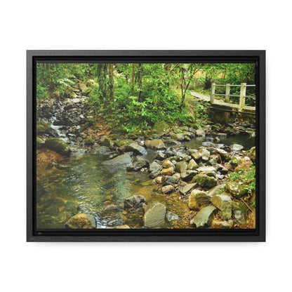 Rainforest Trails & Views - Gallery Canvas Wraps, Horizontal Frame - El Yunque National Forest - Puerto Rico - The Famous La Mina Trail & River - Green Forest Home