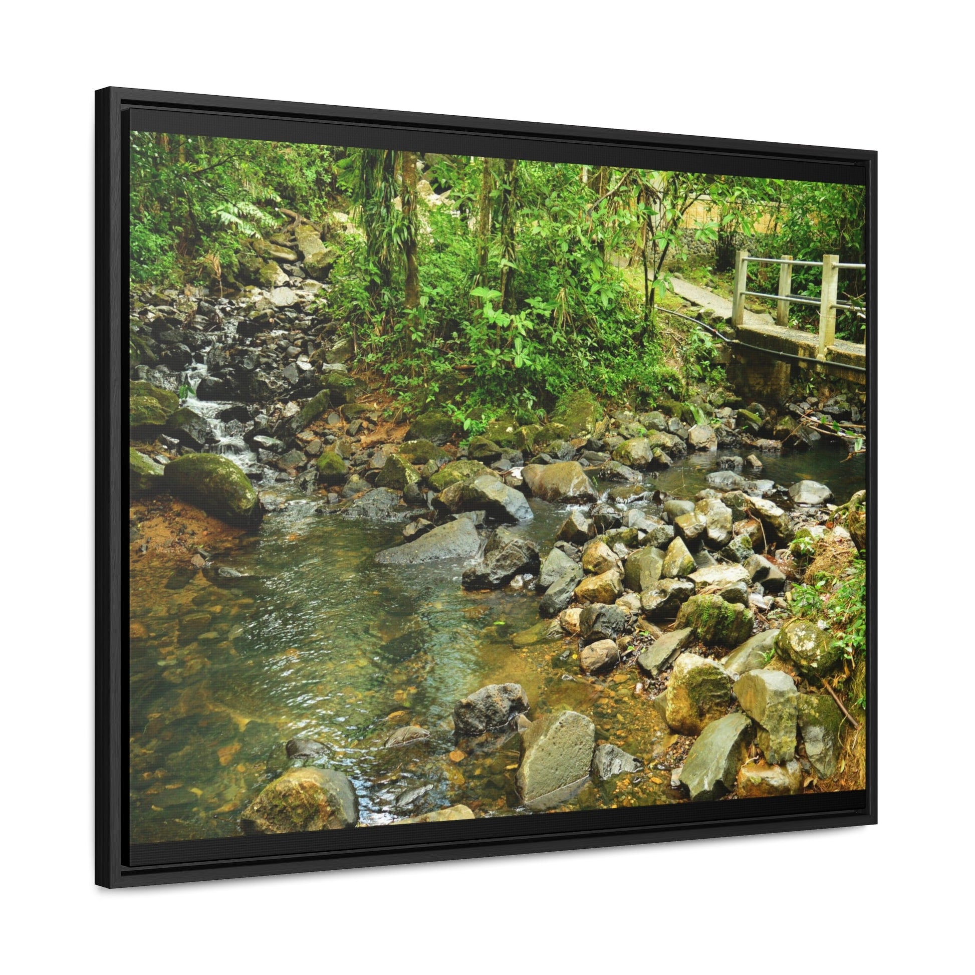 Rainforest Trails & Views - Gallery Canvas Wraps, Horizontal Frame - El Yunque National Forest - Puerto Rico - The Famous La Mina Trail & River - Green Forest Home