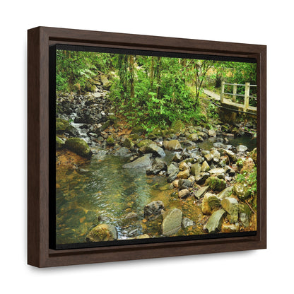 Rainforest Trails & Views - Gallery Canvas Wraps, Horizontal Frame - El Yunque National Forest - Puerto Rico - The Famous La Mina Trail & River - Green Forest Home
