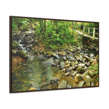 Rainforest Trails & Views - Gallery Canvas Wraps, Horizontal Frame - El Yunque National Forest - Puerto Rico - The Famous La Mina Trail & River - Green Forest Home