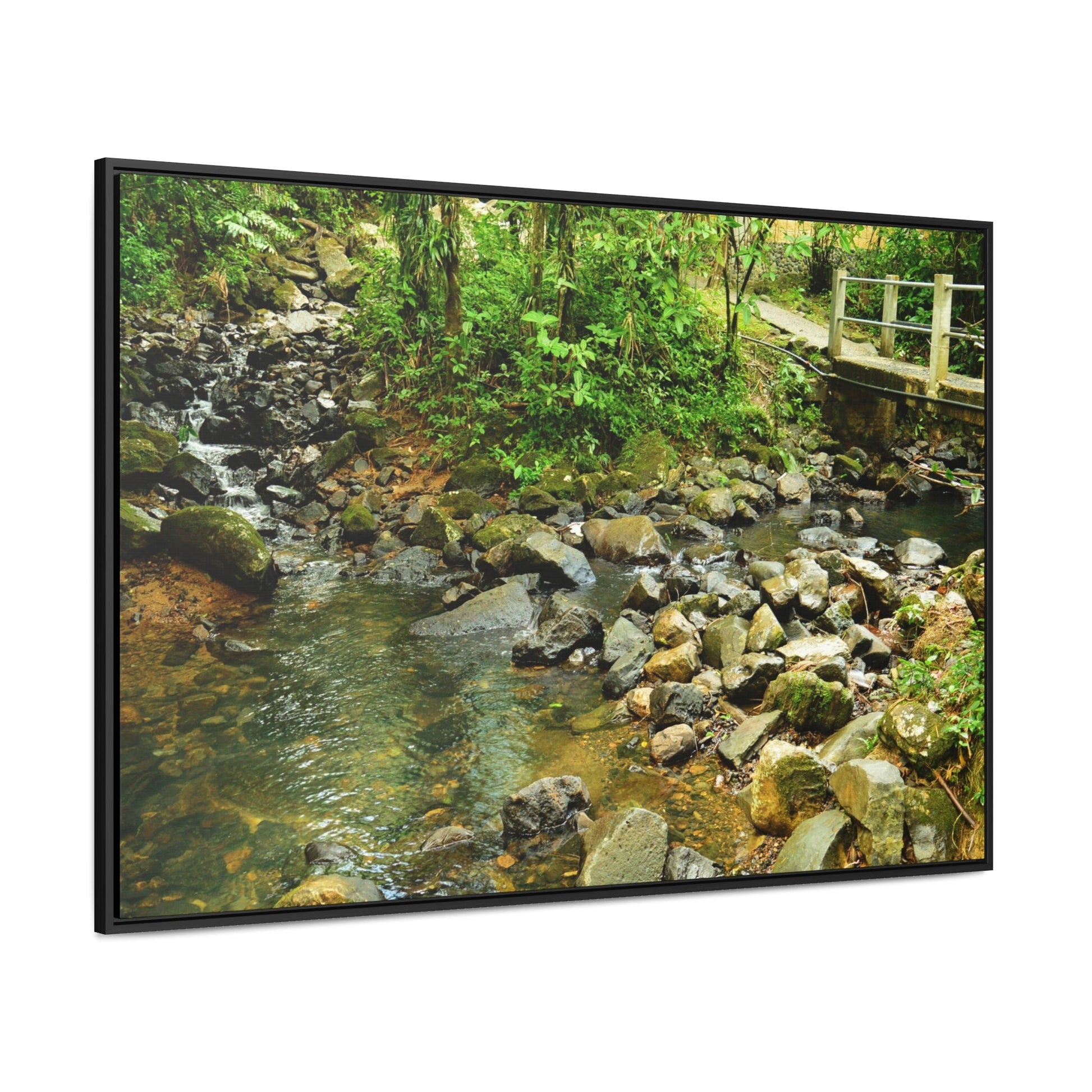 Rainforest Trails & Views - Gallery Canvas Wraps, Horizontal Frame - El Yunque National Forest - Puerto Rico - The Famous La Mina Trail & River - Green Forest Home