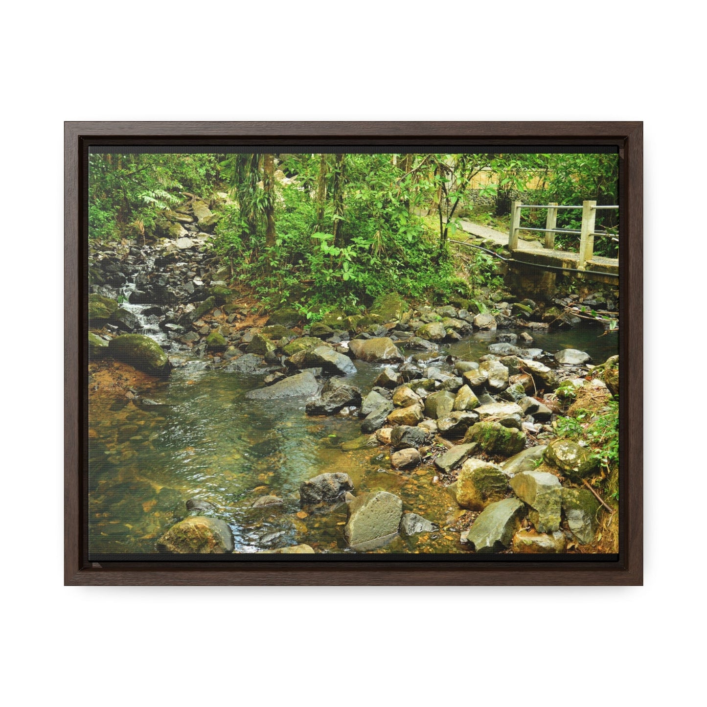 Rainforest Trails & Views - Gallery Canvas Wraps, Horizontal Frame - El Yunque National Forest - Puerto Rico - The Famous La Mina Trail & River - Green Forest Home