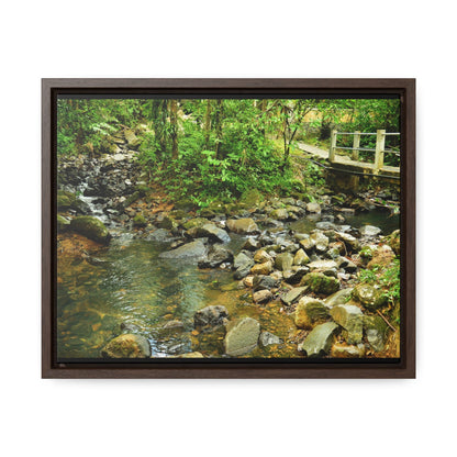 Rainforest Trails & Views - Gallery Canvas Wraps, Horizontal Frame - El Yunque National Forest - Puerto Rico - The Famous La Mina Trail & River - Green Forest Home