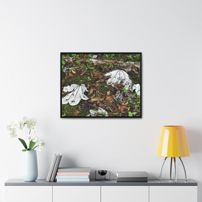 Rainforest Trails & Views - Gallery Canvas Wraps, Horizontal Frame - El Yunque National Forest - Puerto Rico - The huge variety of the Yagrumo Tree leaves - white below - Green Forest Home