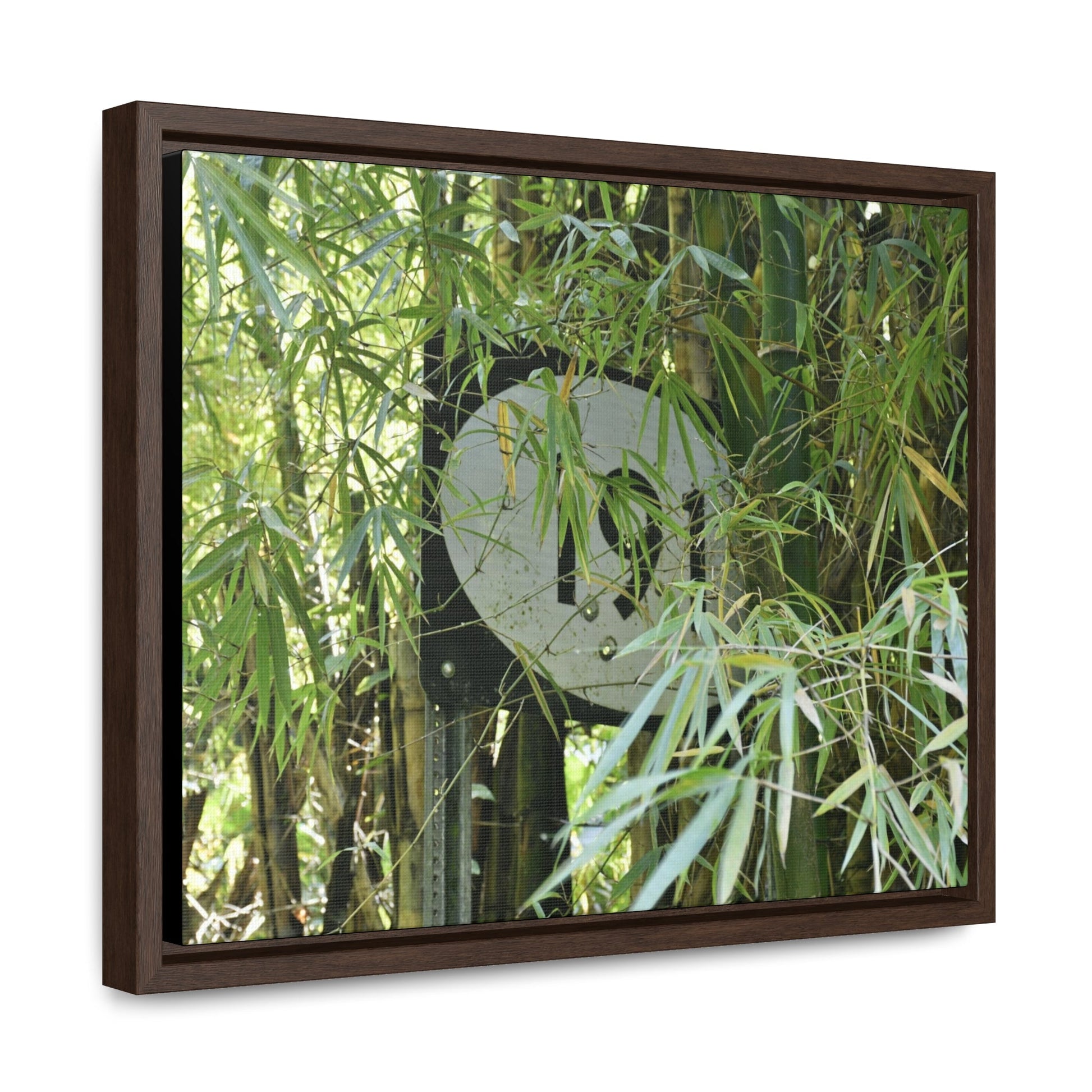 Rainforest Trails & Views - Gallery Canvas Wraps, Horizontal Frame - El Yunque National Forest - Puerto Rico - The main road PR 191 sign inside bamboos - built in the 1950's the major road crossed El Yunque - Green Forest Home