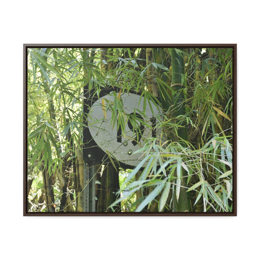 Rainforest Trails & Views - Gallery Canvas Wraps, Horizontal Frame - El Yunque National Forest - Puerto Rico - The main road PR 191 sign inside bamboos - built in the 1950's the major road crossed El Yunque - Green Forest Home