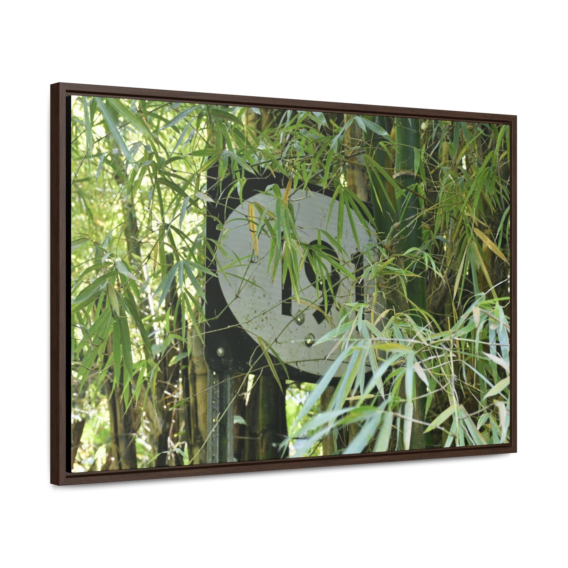 Rainforest Trails & Views - Gallery Canvas Wraps, Horizontal Frame - El Yunque National Forest - Puerto Rico - The main road PR 191 sign inside bamboos - built in the 1950's the major road crossed El Yunque - Green Forest Home