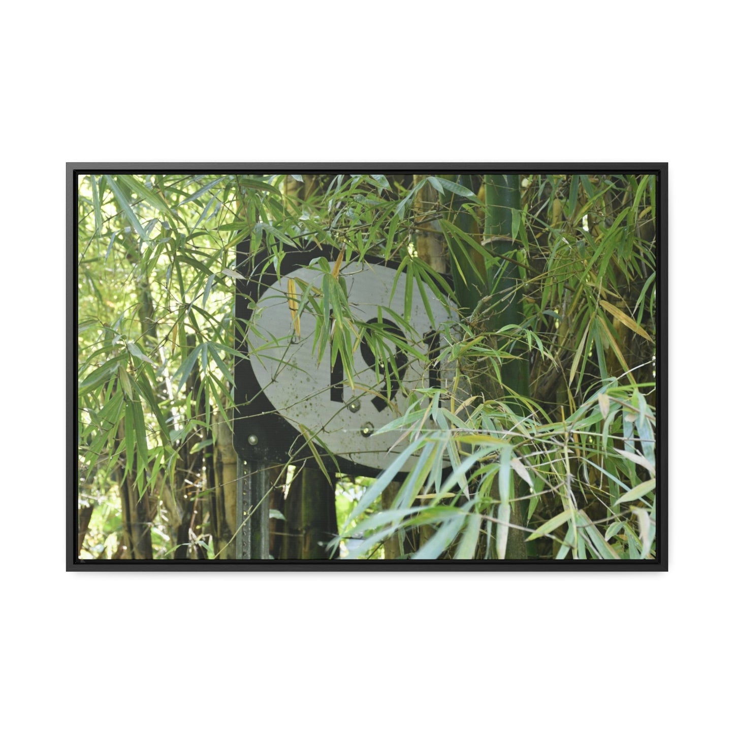Rainforest Trails & Views - Gallery Canvas Wraps, Horizontal Frame - El Yunque National Forest - Puerto Rico - The main road PR 191 sign inside bamboos - built in the 1950's the major road crossed El Yunque - Green Forest Home