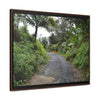 Rainforest Trails & Views - Gallery Canvas Wraps, Horizontal Frame - El Yunque National Forest - Puerto Rico - The PR 191 closed forested road - Green Forest Home