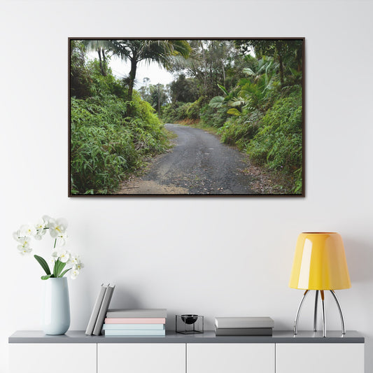 Rainforest Trails & Views - Gallery Canvas Wraps, Horizontal Frame - El Yunque National Forest - Puerto Rico - The PR 191 closed forested road - Green Forest Home
