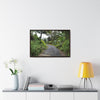 Rainforest Trails & Views - Gallery Canvas Wraps, Horizontal Frame - El Yunque National Forest - Puerto Rico - The PR 191 closed forested road - Green Forest Home