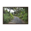 Rainforest Trails & Views - Gallery Canvas Wraps, Horizontal Frame - El Yunque National Forest - Puerto Rico - The PR 191 closed forested road - Green Forest Home