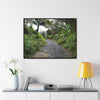 Rainforest Trails & Views - Gallery Canvas Wraps, Horizontal Frame - El Yunque National Forest - Puerto Rico - The PR 191 closed forested road - Green Forest Home