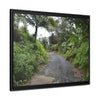 Rainforest Trails & Views - Gallery Canvas Wraps, Horizontal Frame - El Yunque National Forest - Puerto Rico - The PR 191 closed forested road - Green Forest Home