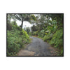 Rainforest Trails & Views - Gallery Canvas Wraps, Horizontal Frame - El Yunque National Forest - Puerto Rico - The PR 191 closed forested road - Green Forest Home