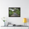 Rainforest Trails & Views - Gallery Canvas Wraps, Horizontal Frame - El Yunque National Forest - Puerto Rico - The PR 191 closed forested road - Green Forest Home