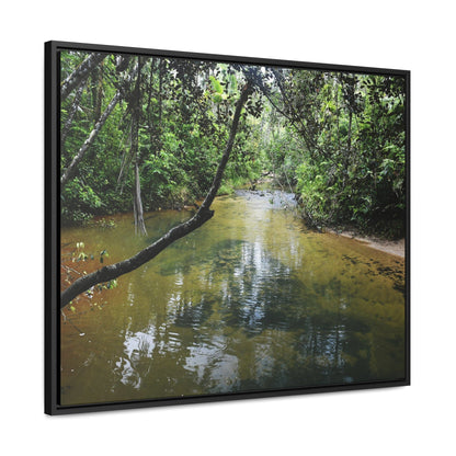 Rainforest Trails & Views - Gallery Canvas Wraps, Horizontal Frame - El Yunque National Forest - Puerto Rico - The pristine upper Rio Sabana river - Green Forest Home
