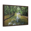 Rainforest Trails & Views - Gallery Canvas Wraps, Horizontal Frame - El Yunque National Forest - Puerto Rico - The pristine upper Rio Sabana river - Green Forest Home