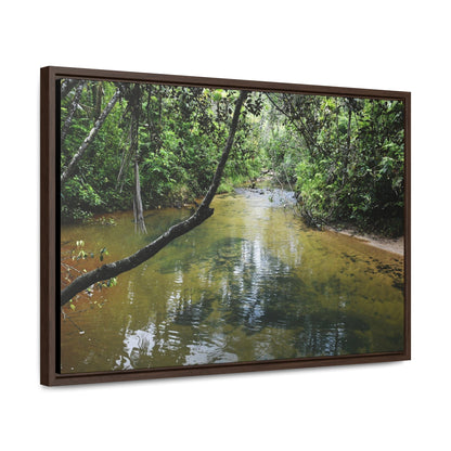 Rainforest Trails & Views - Gallery Canvas Wraps, Horizontal Frame - El Yunque National Forest - Puerto Rico - The pristine upper Rio Sabana river - Green Forest Home