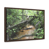 Rainforest Trails & Views - Gallery Canvas Wraps, Horizontal Frame - El Yunque National Forest - Puerto Rico - The pristine upper Rio Sabana river - Green Forest Home