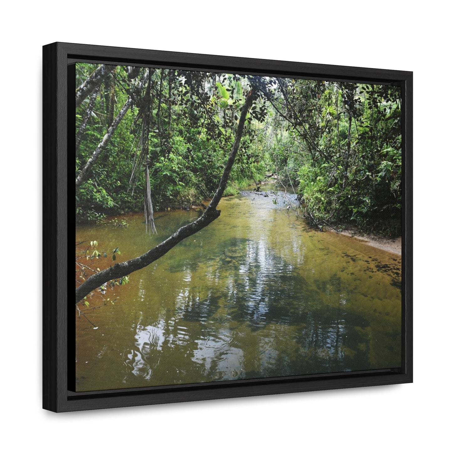 Rainforest Trails & Views - Gallery Canvas Wraps, Horizontal Frame - El Yunque National Forest - Puerto Rico - The pristine upper Rio Sabana river - Green Forest Home