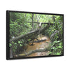 Rainforest Trails & Views - Gallery Canvas Wraps, Horizontal Frame - El Yunque National Forest - Puerto Rico - The pristine upper Rio Sabana river - Green Forest Home
