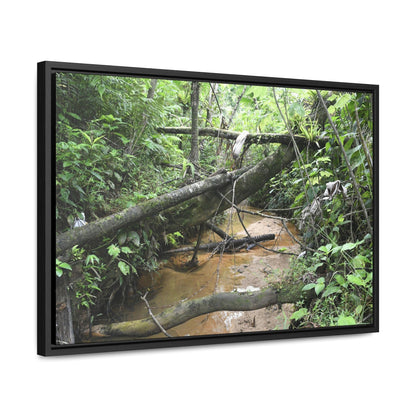 Rainforest Trails & Views - Gallery Canvas Wraps, Horizontal Frame - El Yunque National Forest - Puerto Rico - The pristine upper Rio Sabana river - Green Forest Home