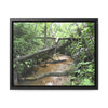 Rainforest Trails & Views - Gallery Canvas Wraps, Horizontal Frame - El Yunque National Forest - Puerto Rico - The pristine upper Rio Sabana river - Green Forest Home