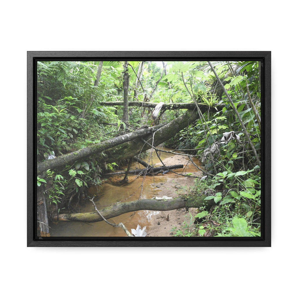 Rainforest Trails & Views - Gallery Canvas Wraps, Horizontal Frame - El Yunque National Forest - Puerto Rico - The pristine upper Rio Sabana river - Green Forest Home
