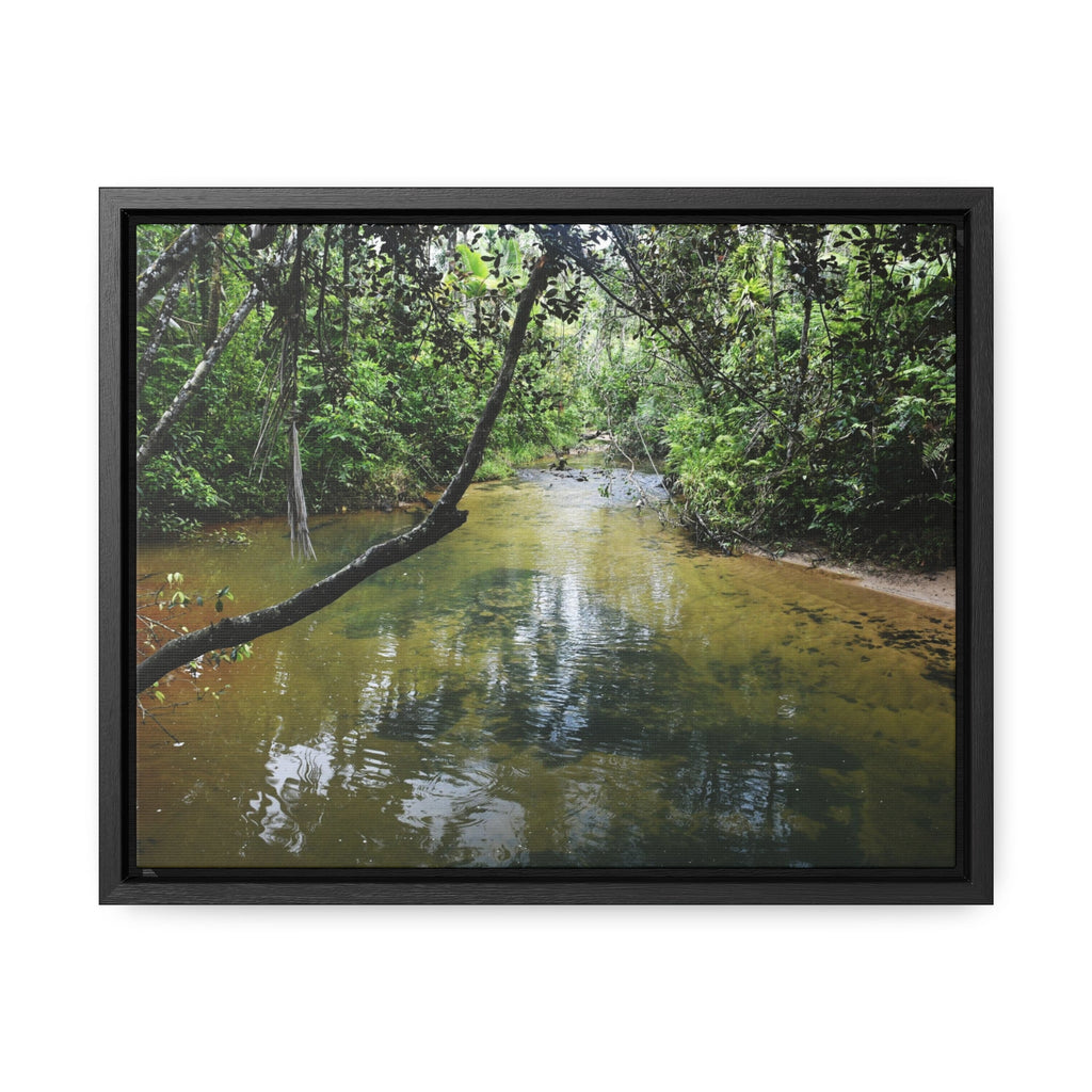 Rainforest Trails & Views - Gallery Canvas Wraps, Horizontal Frame - El Yunque National Forest - Puerto Rico - The pristine upper Rio Sabana river - Green Forest Home