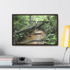 Rainforest Trails & Views - Gallery Canvas Wraps, Horizontal Frame - El Yunque National Forest - Puerto Rico - The pristine upper Rio Sabana river - Green Forest Home