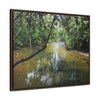 Rainforest Trails & Views - Gallery Canvas Wraps, Horizontal Frame - El Yunque National Forest - Puerto Rico - The pristine upper Rio Sabana river - Green Forest Home