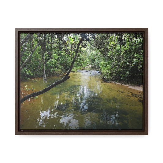 Rainforest Trails & Views - Gallery Canvas Wraps, Horizontal Frame - El Yunque National Forest - Puerto Rico - The pristine upper Rio Sabana river - Green Forest Home