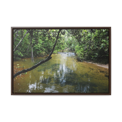 Rainforest Trails & Views - Gallery Canvas Wraps, Horizontal Frame - El Yunque National Forest - Puerto Rico - The pristine upper Rio Sabana river - Green Forest Home