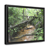 Rainforest Trails & Views - Gallery Canvas Wraps, Horizontal Frame - El Yunque National Forest - Puerto Rico - The pristine upper Rio Sabana river - Green Forest Home